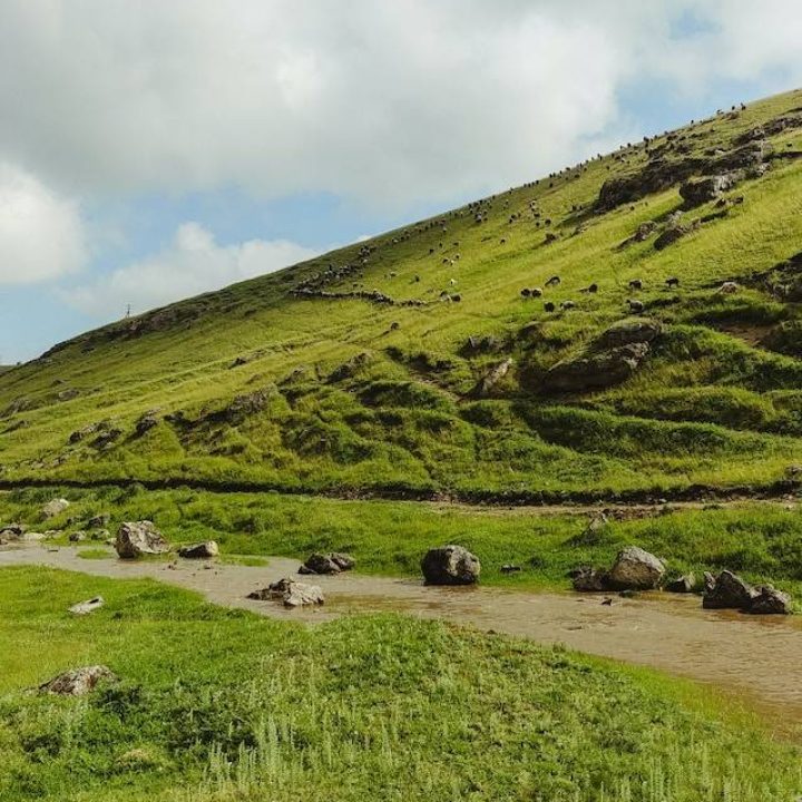 moldova-verde